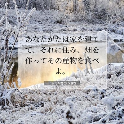 Picture 07 - エレミヤ書 29:5 JPN - あなたがたは家を建てて、それに住 - Bible Verse Picture