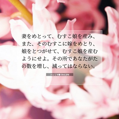 Picture 07 - エレミヤ書 29:6 JPN - 妻をめとって、むすこ娘を産み、ま - Bible Verse Picture