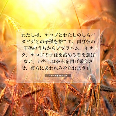 Picture 07 - エレミヤ書 33:26 JPN - わたしは、ヤコブとわたしのしもべ - Bible Verse Picture