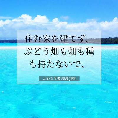 Picture 07 - エレミヤ書 35:9 JPN - 住む家を建てず、ぶどう畑も畑も種 - Bible Verse Picture