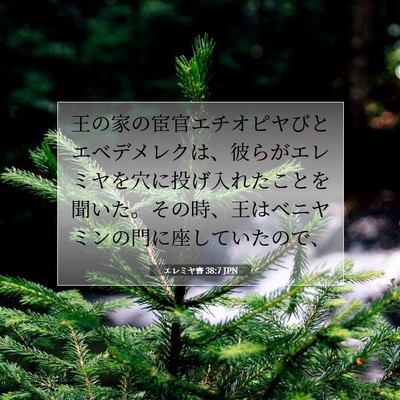 Picture 07 - エレミヤ書 38:7 JPN - 王の家の宦官エチオピヤびとエベデ - Bible Verse Picture
