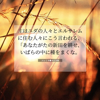 Picture 07 - エレミヤ書 4:3 JPN - 主はユダの人々とエルサレムに住む - Bible Verse Picture
