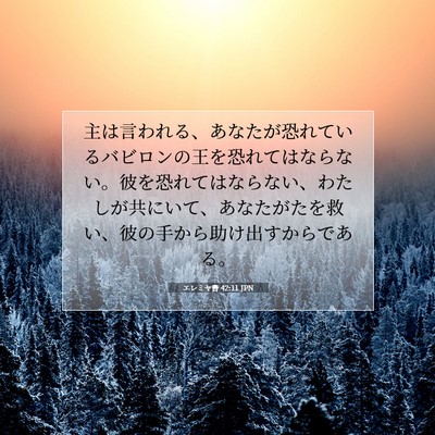 Picture 07 - エレミヤ書 42:11 JPN - 主は言われる、あなたが恐れている - Bible Verse Picture