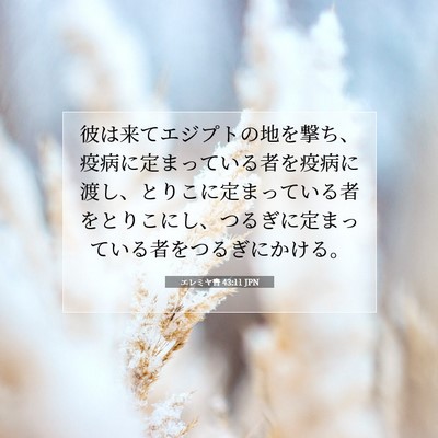 Picture 07 - エレミヤ書 43:11 JPN - 彼は来てエジプトの地を撃ち、疫病 - Bible Verse Picture