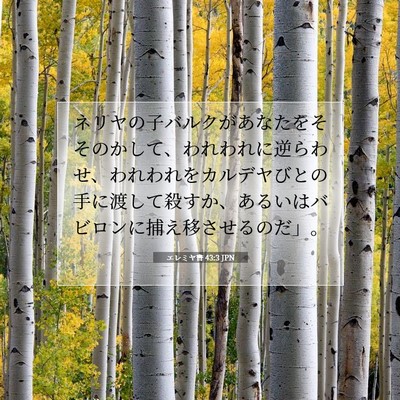 Picture 07 - エレミヤ書 43:3 JPN - ネリヤの子バルクがあなたをそその - Bible Verse Picture