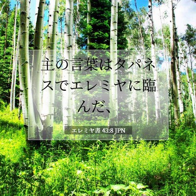 Picture 07 - エレミヤ書 43:8 JPN - 主の言葉はタパネスでエレミヤに臨 - Bible Verse Picture