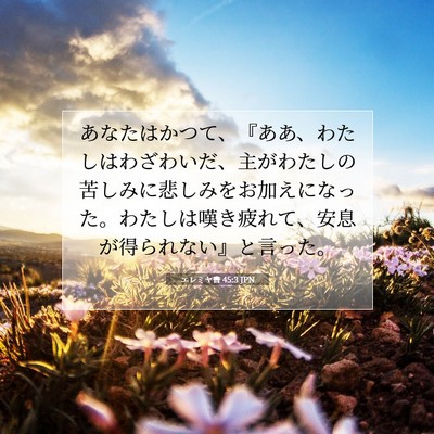 Picture 07 - エレミヤ書 45:3 JPN - あなたはかつて、『ああ、わたしは - Bible Verse Picture