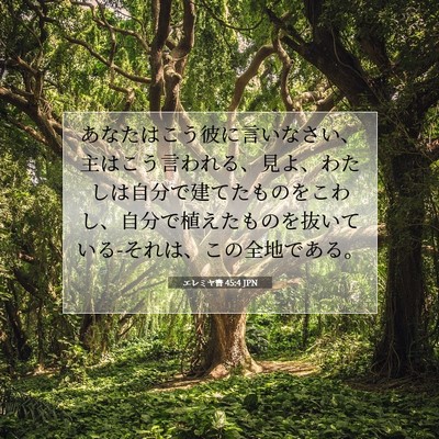 Picture 07 - エレミヤ書 45:4 JPN - あなたはこう彼に言いなさい、主は - Bible Verse Picture