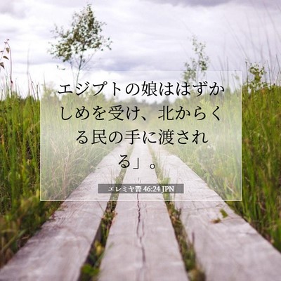 Picture 07 - エレミヤ書 46:24 JPN - エジプトの娘ははずかしめを受け、 - Bible Verse Picture