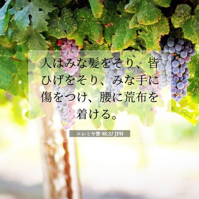 Picture 07 - エレミヤ書 48:37 JPN - 人はみな髪をそり、皆ひげをそり、 - Bible Verse Picture