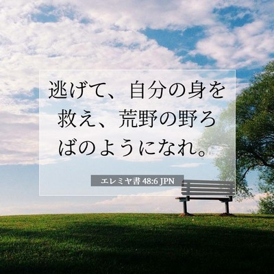 Picture 07 - エレミヤ書 48:6 JPN - 逃げて、自分の身を救え、荒野の野 - Bible Verse Picture