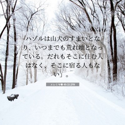 Picture 07 - エレミヤ書 49:33 JPN - ハゾルは山犬のすまいとなり、いつ - Bible Verse Picture