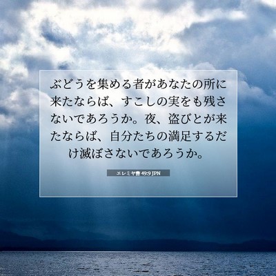 Picture 07 - エレミヤ書 49:9 JPN - ぶどうを集める者があなたの所に来 - Bible Verse Picture