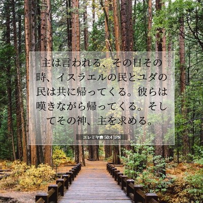 Picture 07 - エレミヤ書 50:4 JPN - 主は言われる、その日その時、イス - Bible Verse Picture