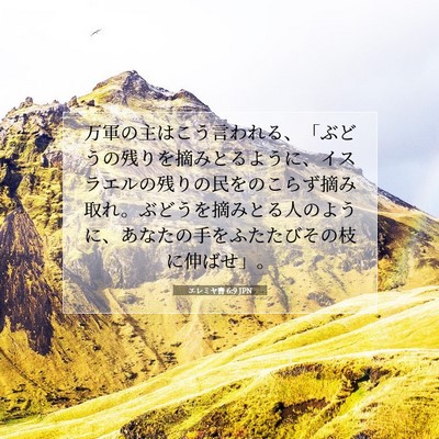 Picture 07 - エレミヤ書 6:9 JPN - 万軍の主はこう言われる、「ぶどう - Bible Verse Picture