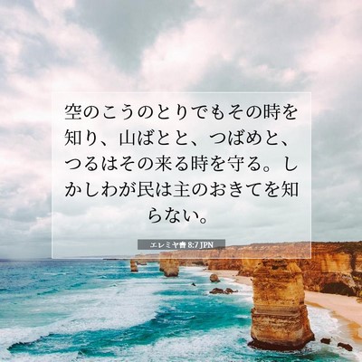 Picture 07 - エレミヤ書 8:7 JPN - 空のこうのとりでもその時を知り、 - Bible Verse Picture