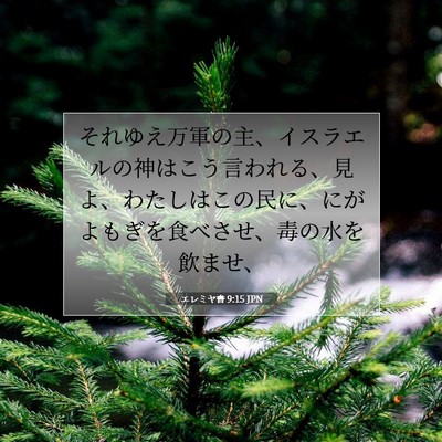 Picture 07 - エレミヤ書 9:15 JPN - それゆえ万軍の主、イスラエルの神 - Bible Verse Picture