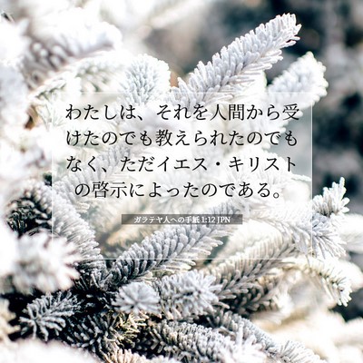 Picture 07 - ガラテヤ人への手紙 1:12 JPN - わたしは、それを人間から受けたの - Bible Verse Picture