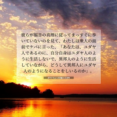Picture 07 - ガラテヤ人への手紙 2:14 JPN - 彼らが福音の真理に従ってまっすぐ - Bible Verse Picture