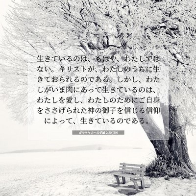 Picture 07 - ガラテヤ人への手紙 2:20 JPN - 生きているのは、もはや、わたしで - Bible Verse Picture