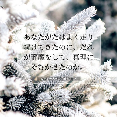 Picture 07 - ガラテヤ人への手紙 5:7 JPN - あなたがたはよく走り続けてきたの - Bible Verse Picture