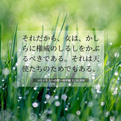 Picture 07 - コリント人への第一の手紙 11:10 JPN - それだから、女は、かしらに権威の - Bible Verse Picture
