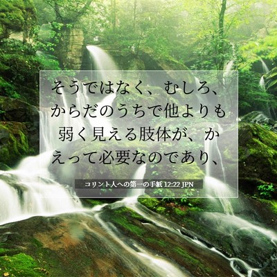 Picture 07 - コリント人への第一の手紙 12:22 JPN - そうではなく、むしろ、からだのう - Bible Verse Picture