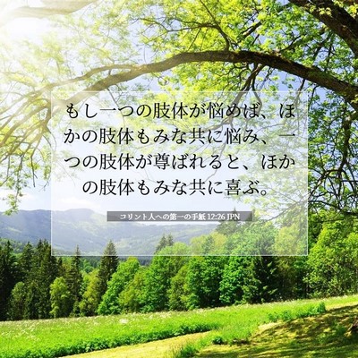 Picture 07 - コリント人への第一の手紙 12:26 JPN - もし一つの肢体が悩めば、ほかの肢 - Bible Verse Picture