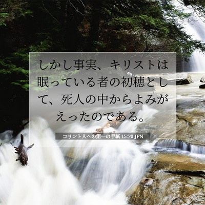 Picture 07 - コリント人への第一の手紙 15:20 JPN - しかし事実、キリストは眠っている - Bible Verse Picture