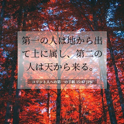 Picture 07 - コリント人への第一の手紙 15:47 JPN - 第一の人は地から出て土に属し、第 - Bible Verse Picture