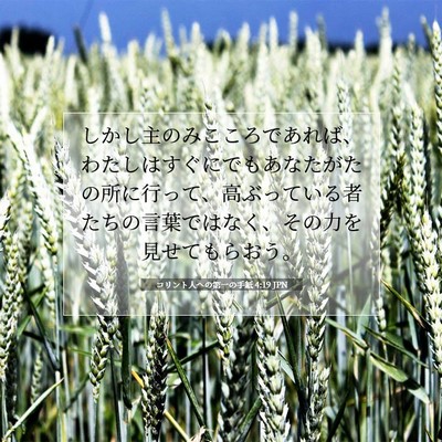 Picture 07 - コリント人への第一の手紙 4:19 JPN - しかし主のみこころであれば、わた - Bible Verse Picture