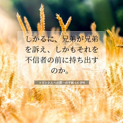 Picture 07 - コリント人への第一の手紙 6:6 JPN - しかるに、兄弟が兄弟を訴え、しか - Bible Verse Picture