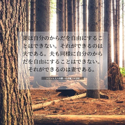 Picture 07 - コリント人への第一の手紙 7:4 JPN - 妻は自分のからだを自由にすること - Bible Verse Picture
