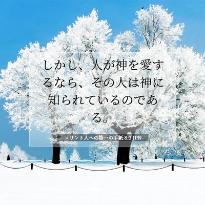 Picture 07 - コリント人への第一の手紙 8:3 JPN - しかし、人が神を愛するなら、その - Bible Verse Picture