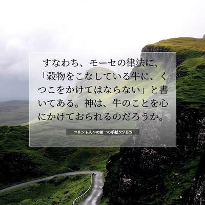 Picture 07 - コリント人への第一の手紙 9:9 JPN - すなわち、モーセの律法に、「穀物 - Bible Verse Picture