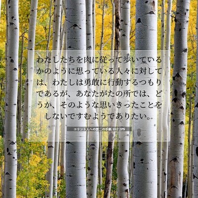 Picture 07 - コリント人への第二の手紙 10:2 JPN - わたしたちを肉に従って歩いている - Bible Verse Picture