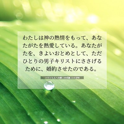 Picture 07 - コリント人への第二の手紙 11:2 JPN - わたしは神の熱情をもって、あなた - Bible Verse Picture