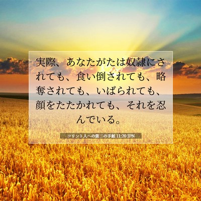 Picture 07 - コリント人への第二の手紙 11:20 JPN - 実際、あなたがたは奴隷にされても - Bible Verse Picture