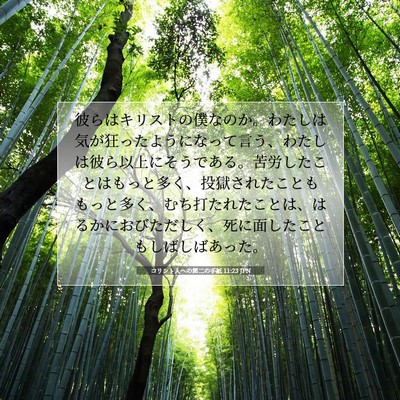 Picture 07 - コリント人への第二の手紙 11:23 JPN - 彼らはキリストの僕なのか。わたし - Bible Verse Picture