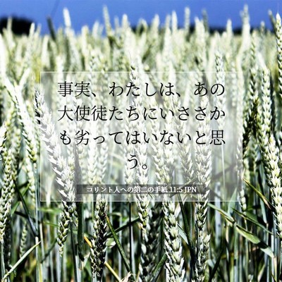 Picture 07 - コリント人への第二の手紙 11:5 JPN - 事実、わたしは、あの大使徒たちに - Bible Verse Picture