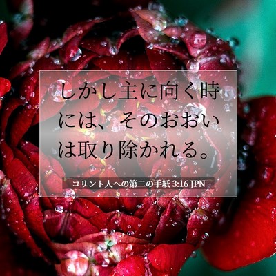 Picture 07 - コリント人への第二の手紙 3:16 JPN - しかし主に向く時には、そのおおい - Bible Verse Picture