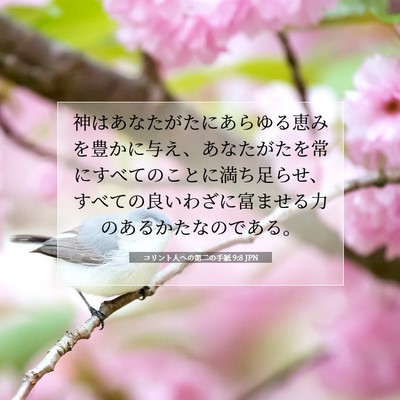Picture 07 - コリント人への第二の手紙 9:8 JPN - 神はあなたがたにあらゆる恵みを豊 - Bible Verse Picture