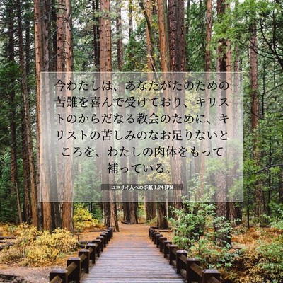 Picture 07 - コロサイ人への手紙 1:24 JPN - 今わたしは、あなたがたのための苦 - Bible Verse Picture
