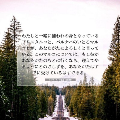 Picture 07 - コロサイ人への手紙 4:10 JPN - わたしと一緒に捕われの身となって - Bible Verse Picture