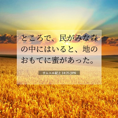 Picture 07 - サムエル記上 14:25 JPN - ところで、民がみな森の中にはいる - Bible Verse Picture