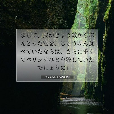 Picture 07 - サムエル記上 14:30 JPN - まして、民がきょう敵からぶんどっ - Bible Verse Picture