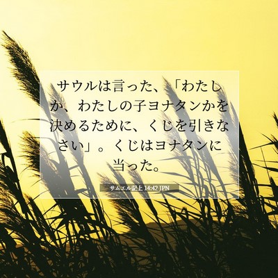 Picture 07 - サムエル記上 14:42 JPN - サウルは言った、「わたしか、わた - Bible Verse Picture