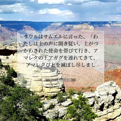 Picture 07 - サムエル記上 15:20 JPN - サウルはサムエルに言った、「わた - Bible Verse Picture