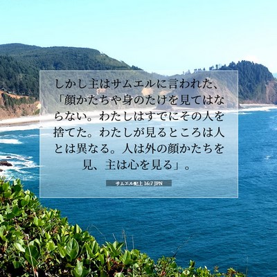 Picture 07 - サムエル記上 16:7 JPN - しかし主はサムエルに言われた、「 - Bible Verse Picture