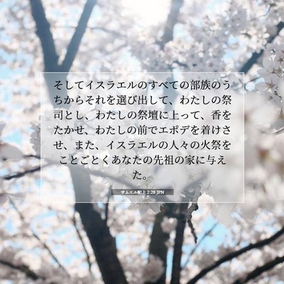 Picture 07 - サムエル記上 2:28 JPN - そしてイスラエルのすべての部族の - Bible Verse Picture